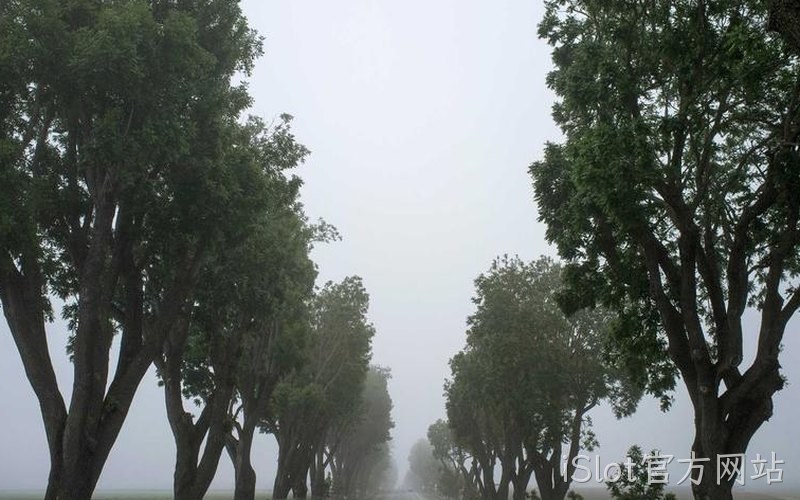 氮化镓切入变频家电与轻型电驱 iSlot官方网站GaN方案助压缩机与风机静音节能